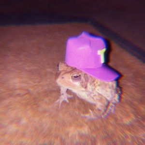 Meet your Posher, Declan